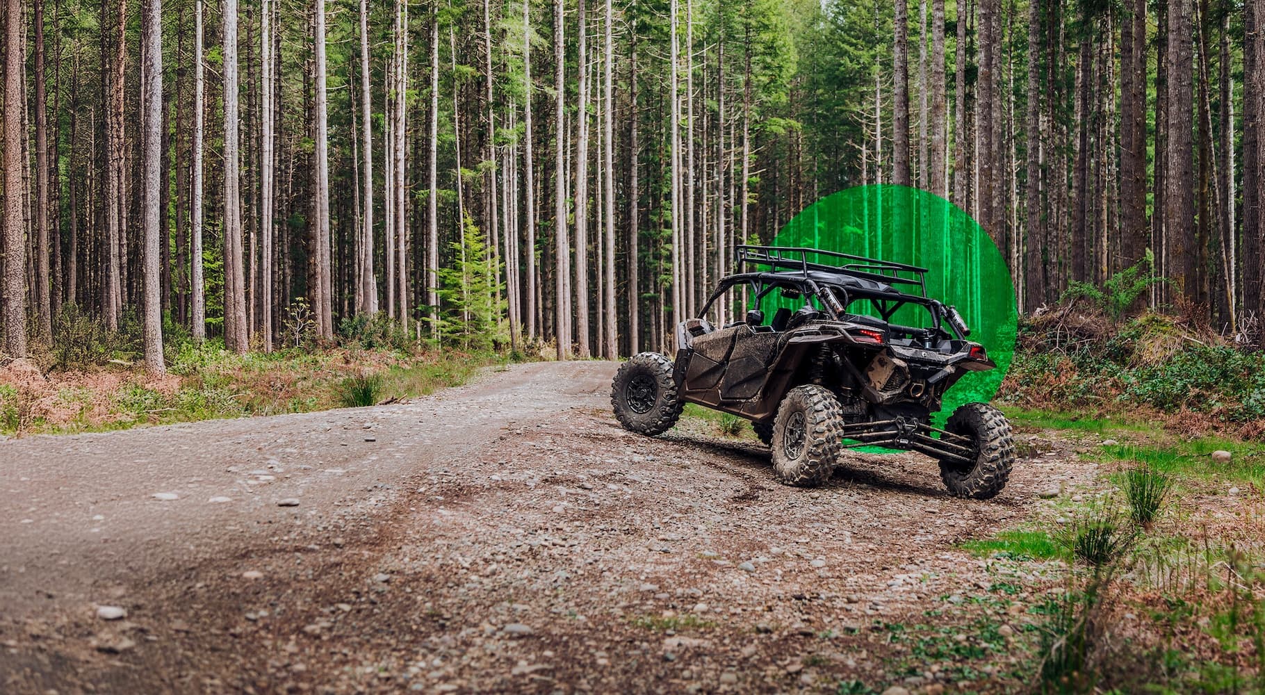 ATV in the forest