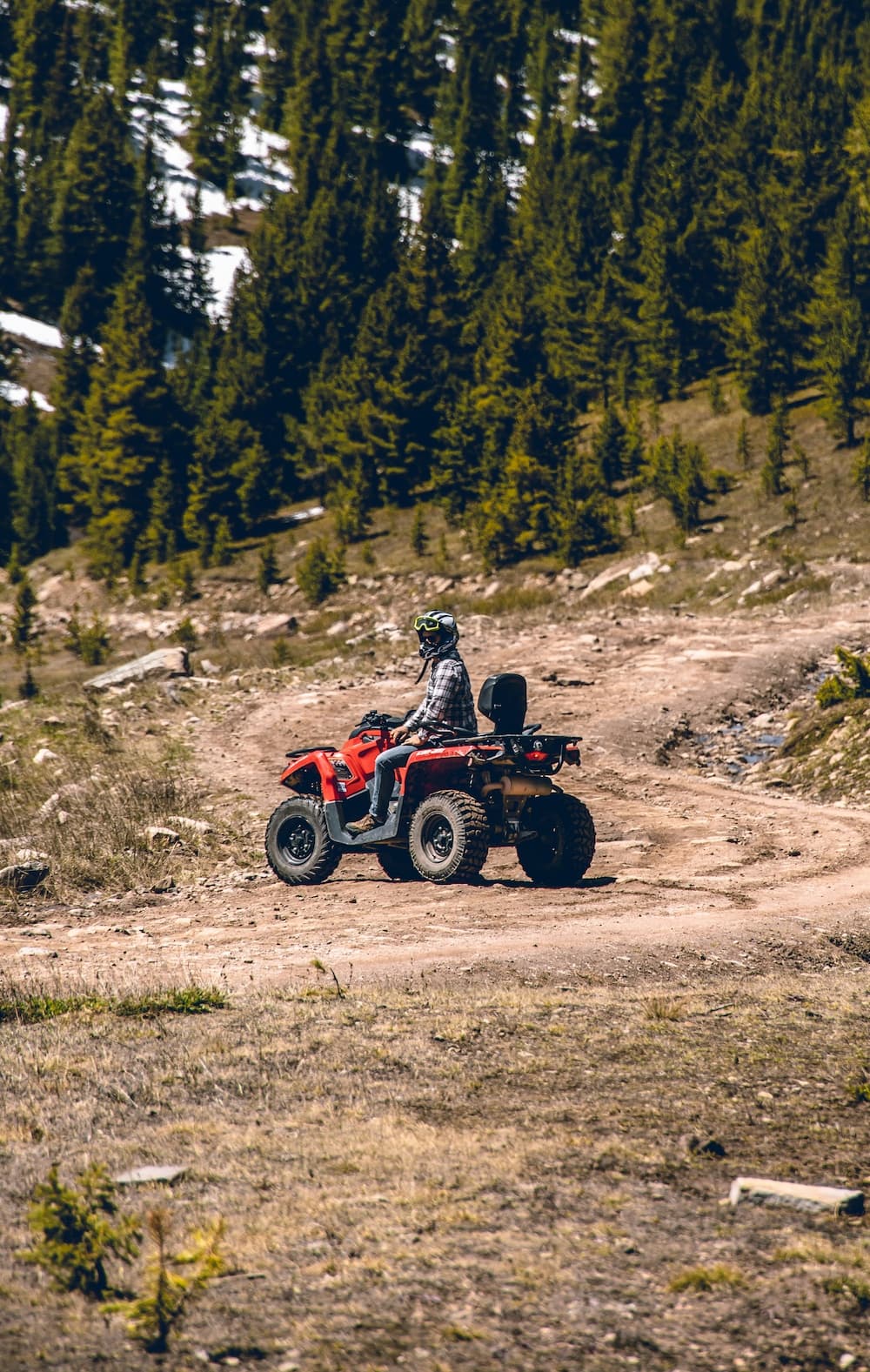 ATV parked among tall evergreen trees in mountain forest
