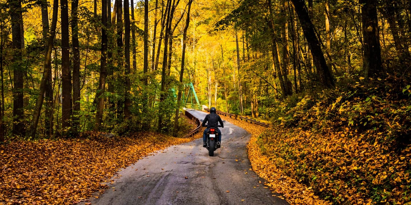 Motorcycle rider traveling through a wooded road in Maryland